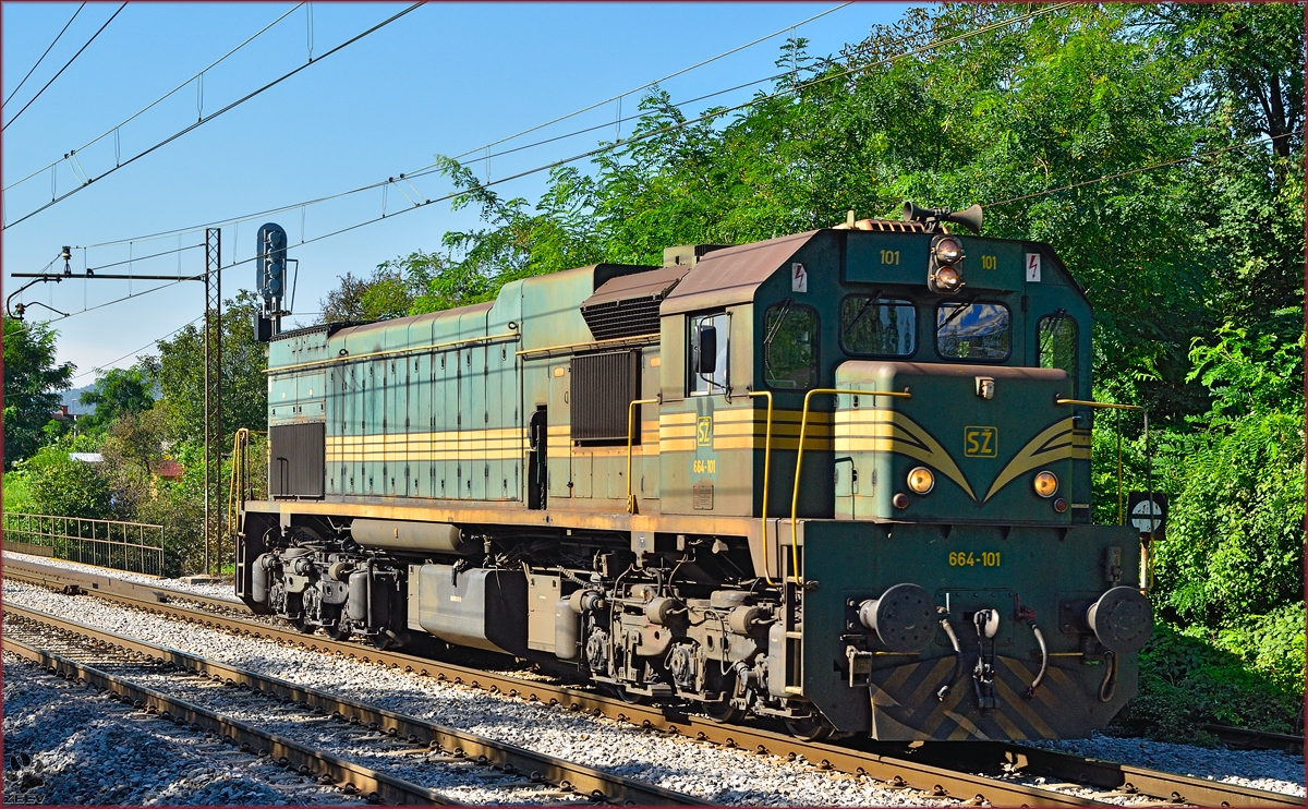 Diesel loc 664-101 run through Maribor-tabor on the way to Maribor station. /28.8.2014