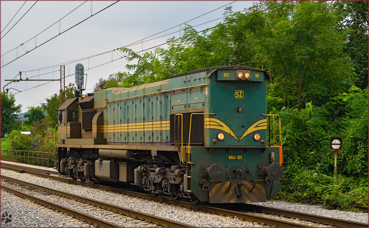 Diesel loc 664-101 run through Maribor-Tabor on the way to Maribor station. /3.9.2014