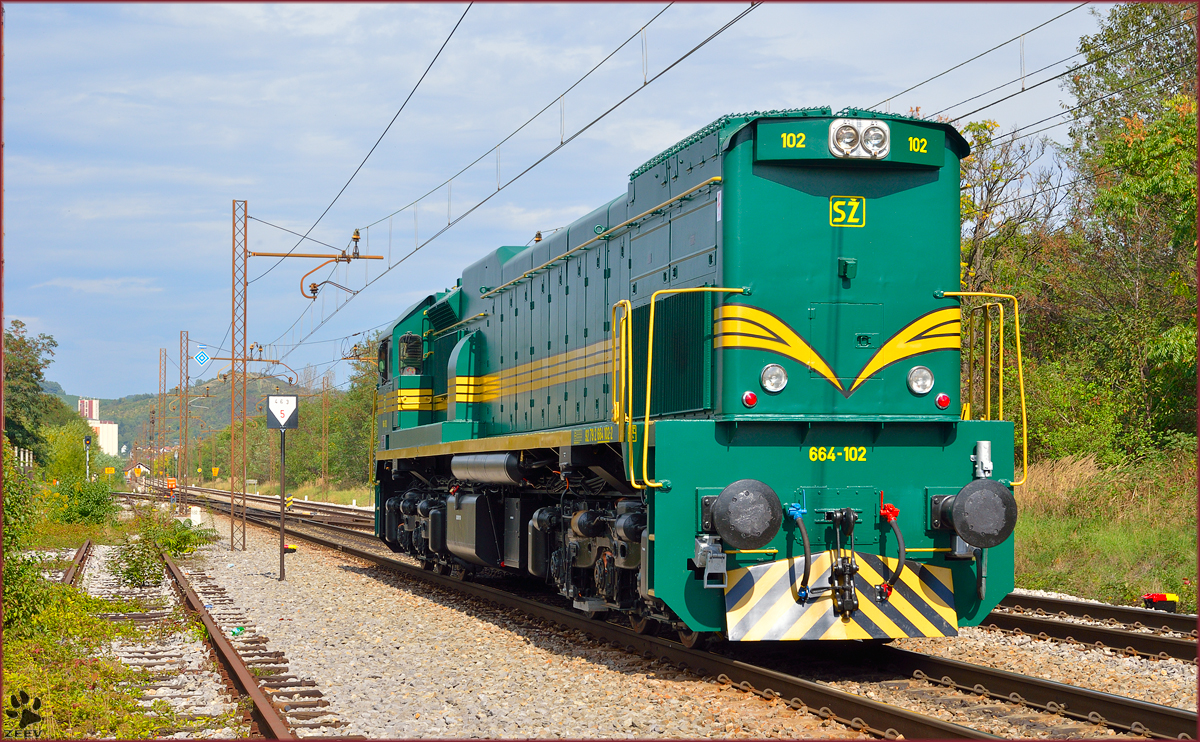 Diesel loc 664-102 is running through Maribor-Tabor on the way to Studenci station. /26.9.2013