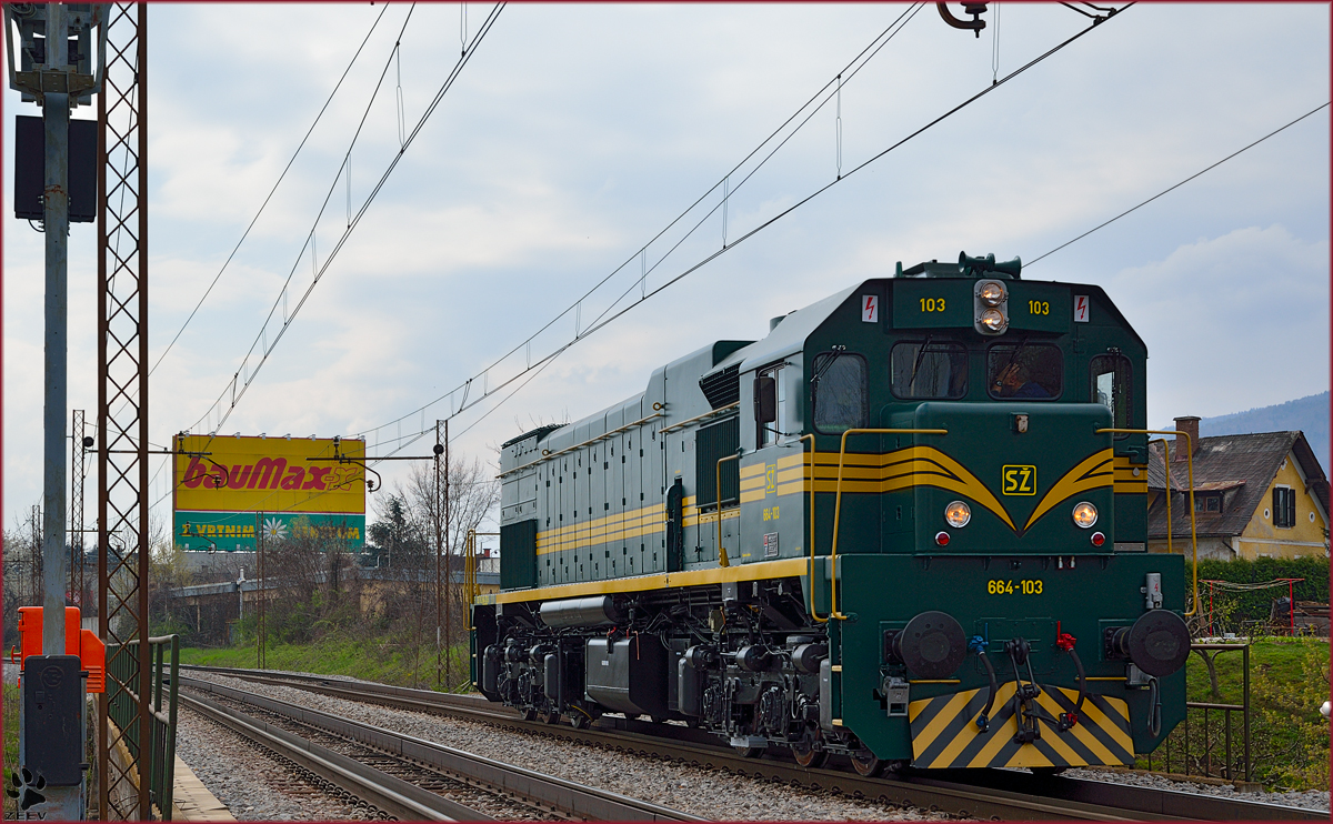 Diesel loc 664-103 is running through Maribor-Tabor on the way to Studenci station. /26.3.2014