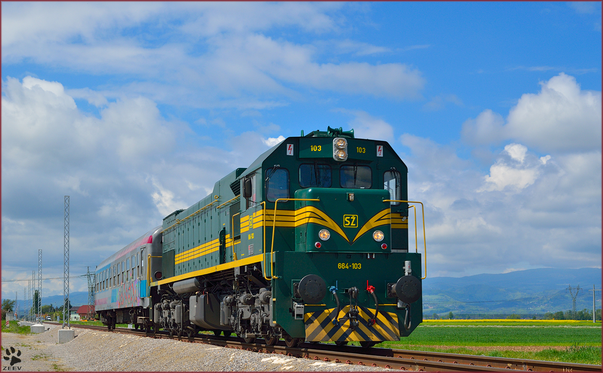 Diesel loc 664-103 pull MV247 'Citadella' through Cirkovce on the way to Budapest. /22.4.2014