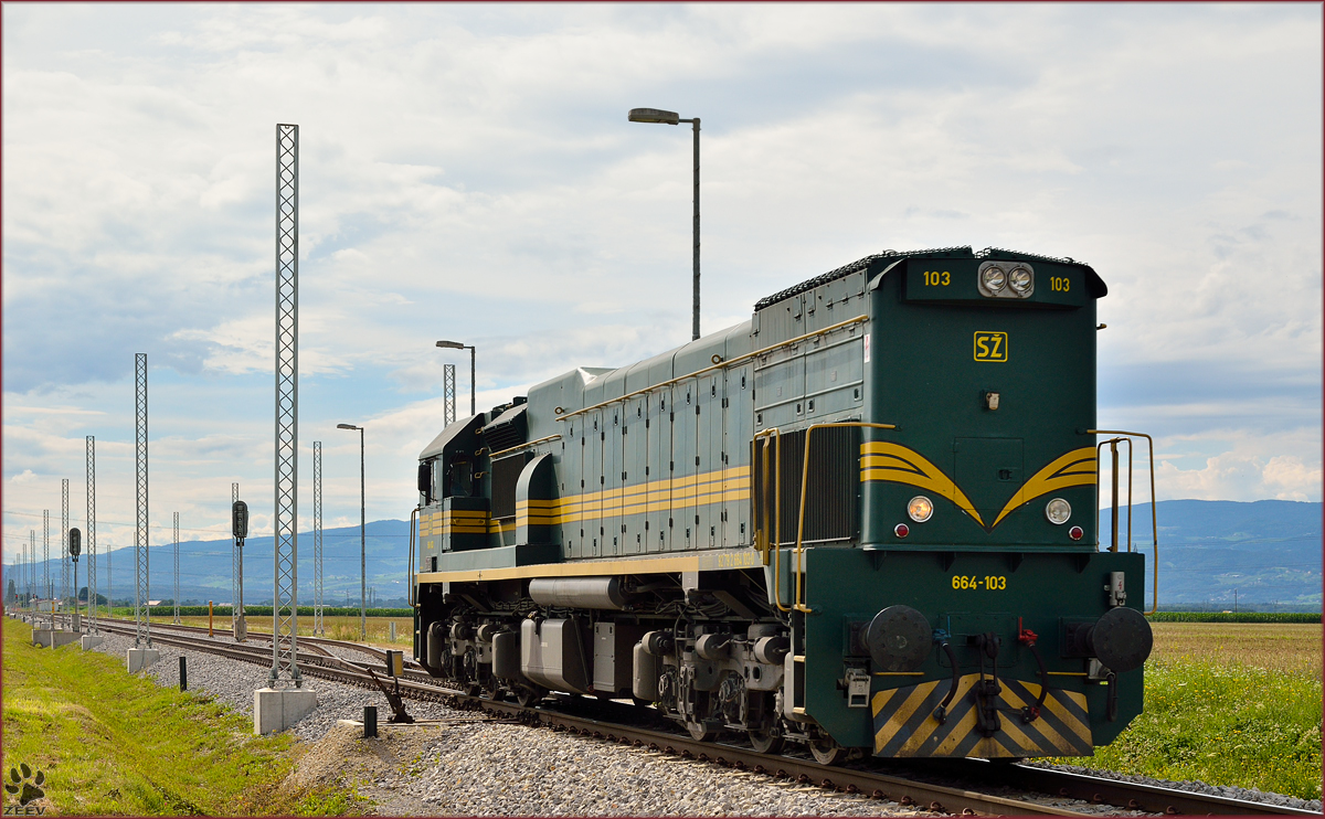 Diesel loc 664-103 run through Cirkovce-Polje on the way to Hodoš. /11.7.2014