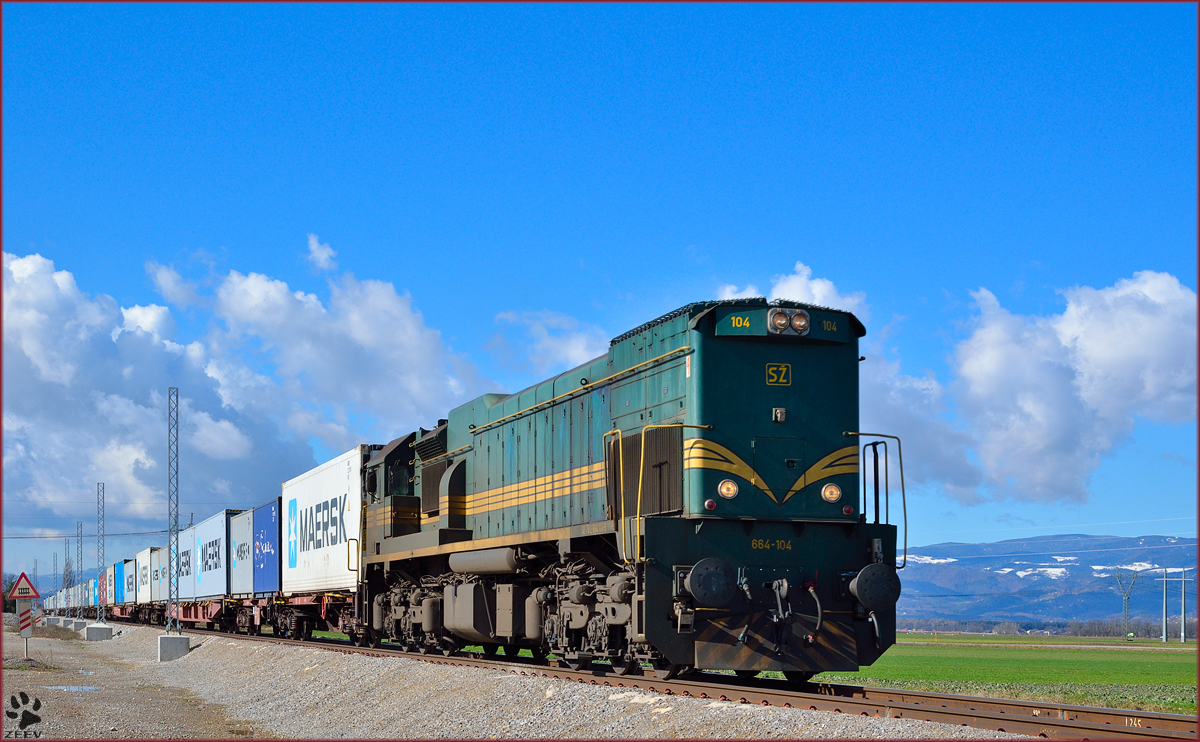 Diesel loc 664-104 is hauling container train through Cirkovce on the way to Hodoš. /14.2.2014