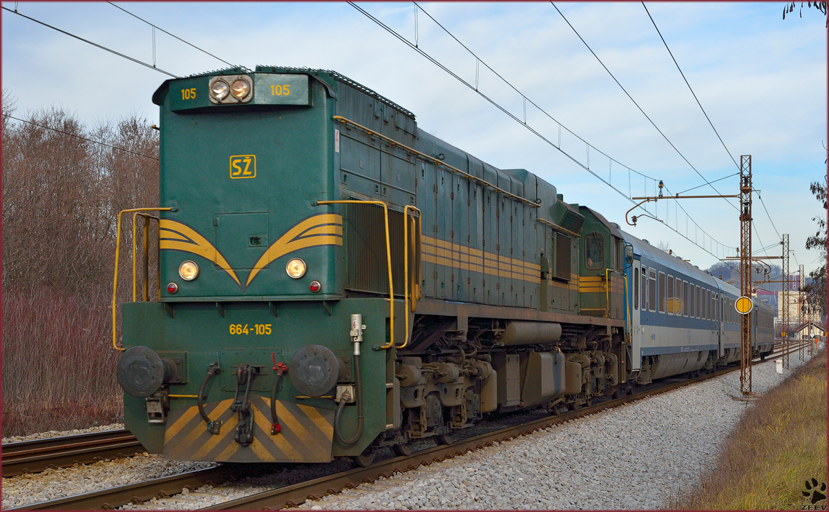 Diesel loc 664-105 is hauling MV247 'Citadella' through Maribor-Tabor on the way to Budapest. /2.1.2014