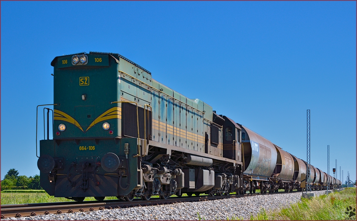 Diesel loc 664-106 pull freight train through Šikole on the way to Koper port. /20.5.2014