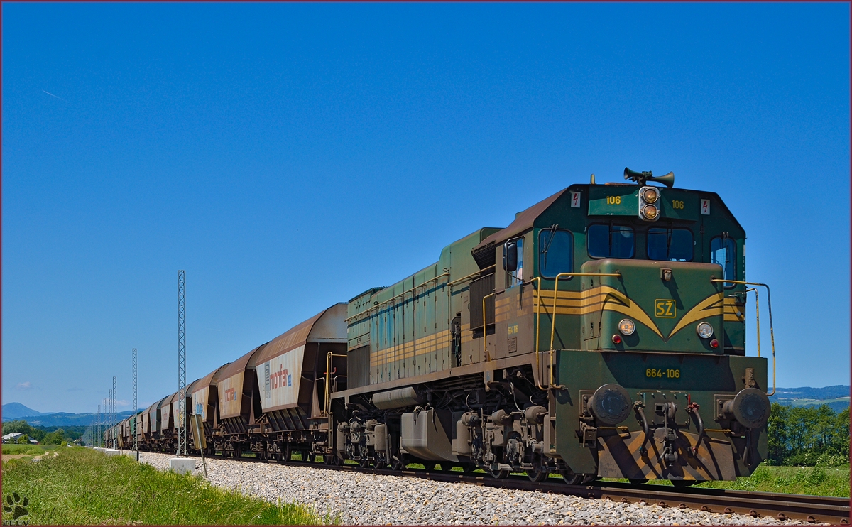 Diesel loc 664-106 pull freight train through Šikole on the way to Hodoš. /20.5.2014