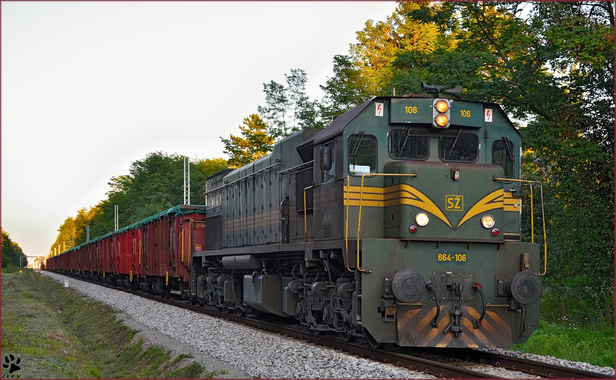 Diesel loc 664-106 pull freight train through Kidričevo on the way to Koper port. /18.8.2014