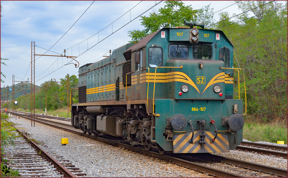 Diesel loc 664-107 is running through Maribor-Tabor on the way to Studenci station. /18.9.2013