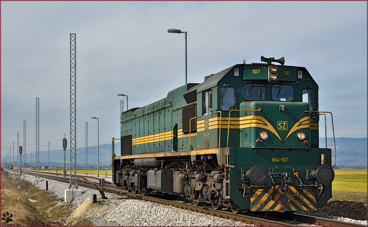 Diesel loc 664-107 run through Cirkovce-Polje on the way to Hodoš. /4.3.2015