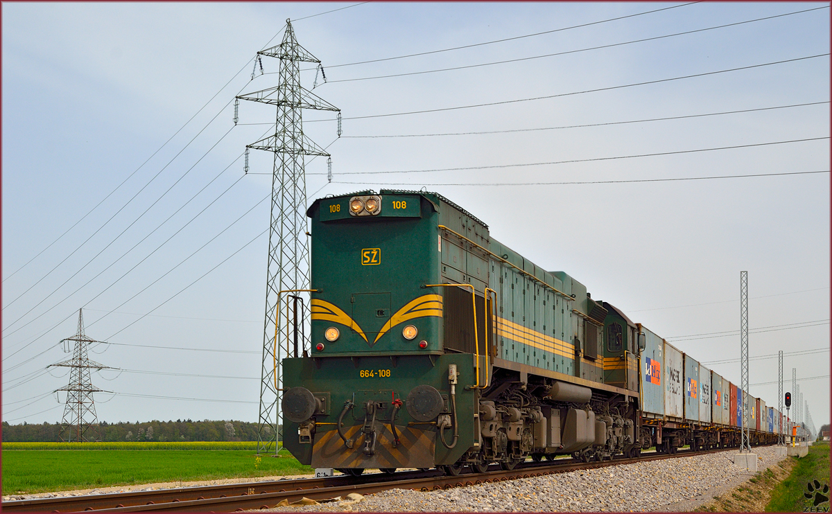 Diesel loc 664-108 pull container train through Cirkovce on the way to Koper port. /4.4.2014