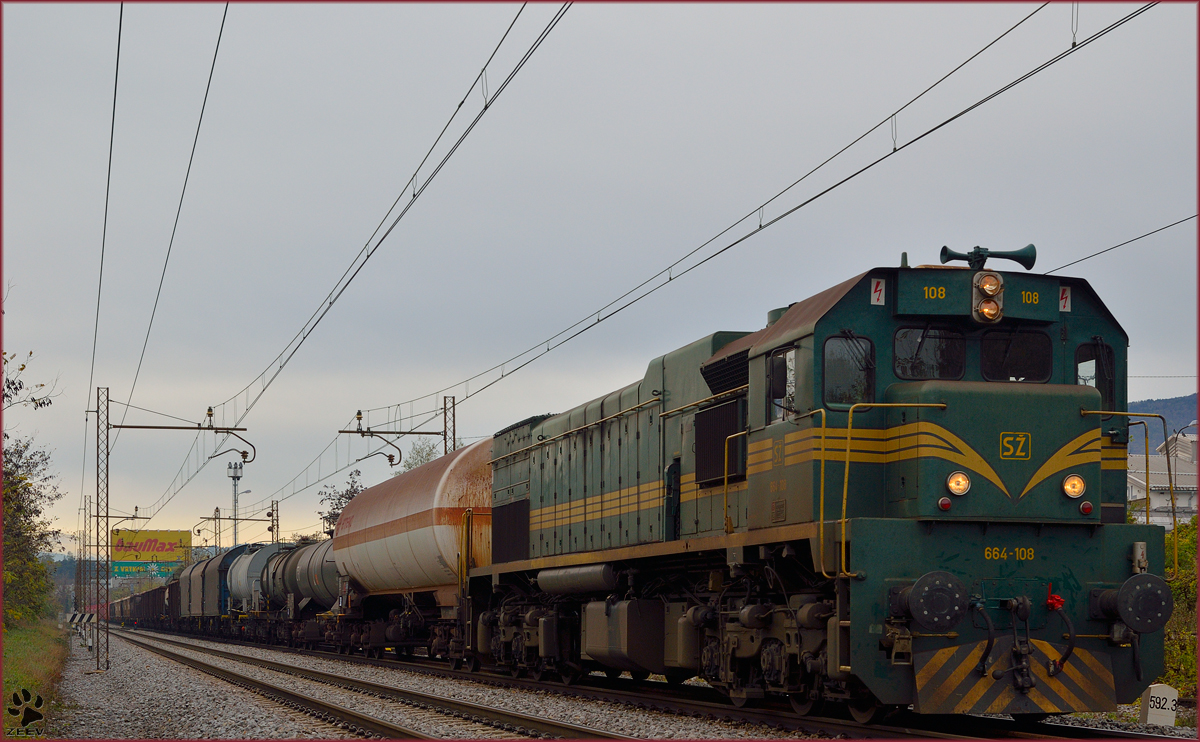 Diesel loc 664-108 pull freight train through Maribor-Tabor on the way to the north. /6.11.2013