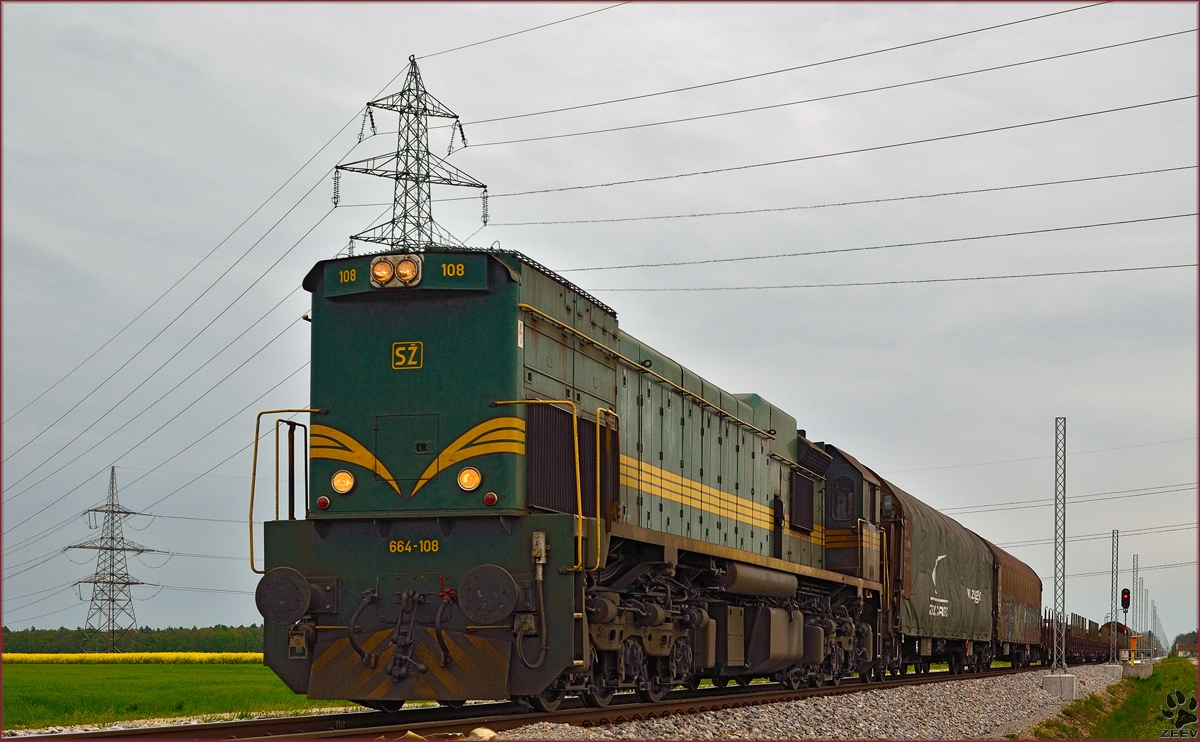 Diesel loc 664-108 pull freight train through Cirkovce on the way to Koper port. /17.4.2014