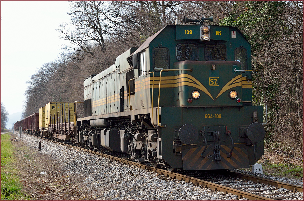 Diesel loc 664-109 is hauling freight train through Maribor-Studenci on the way to Tezno yard. /10.3.2014