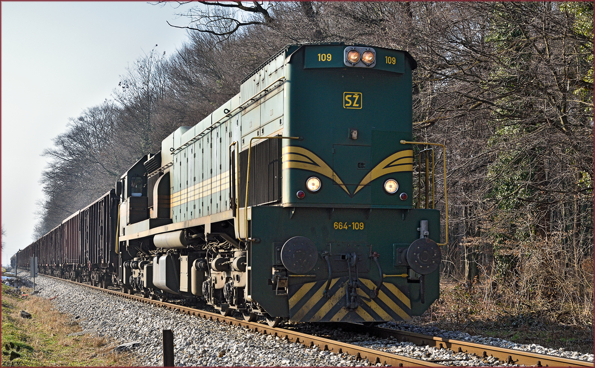 Diesel loc 664-109 pull freight train through Maribor-Studenci on the way to Tezno yard. /16.2.2015