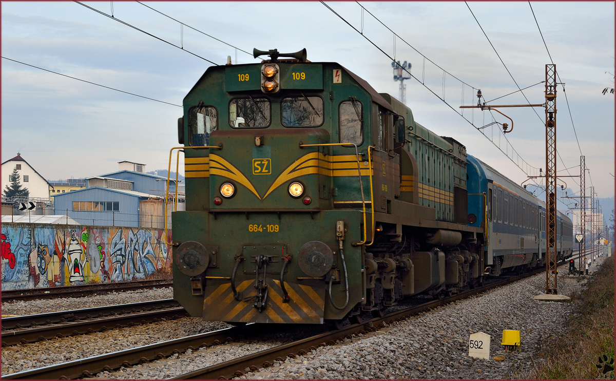 Diesel loc 664-109 pull MV247 'Citadella' through Maribor-Tabor on the way to Budapest. /20.12.2013