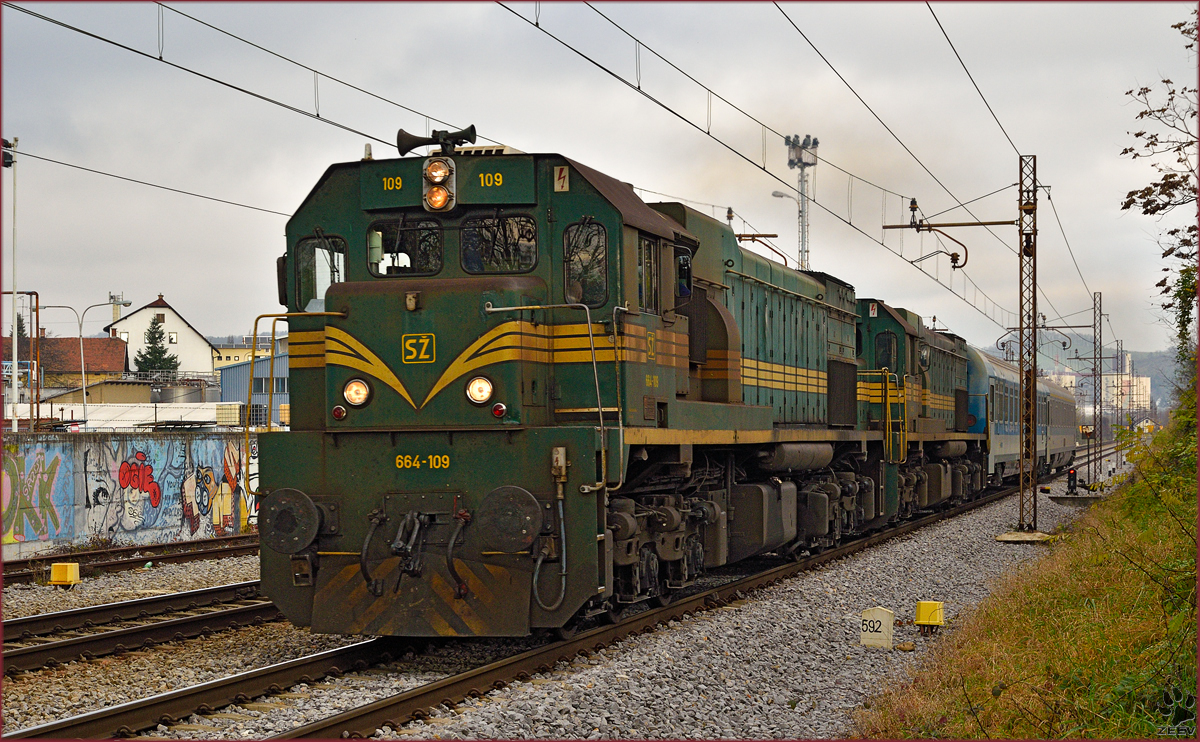 Diesel loc 664-109 pull MV247 'Citadella' through Maribor-Tabor on the way to Budapest. /17.11.2014