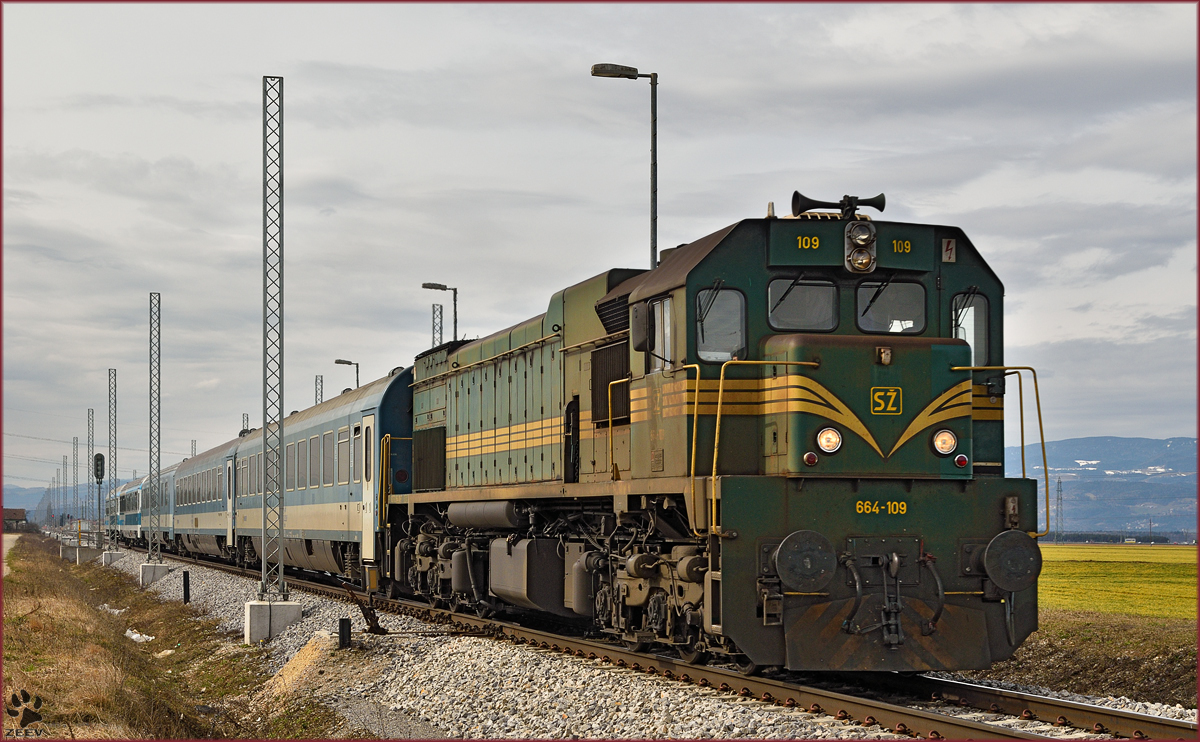 Diesel loc 664-109 pull MV247 'Citadella' through Cirkovce-Polje on the way to Budapest. /4.3.2015