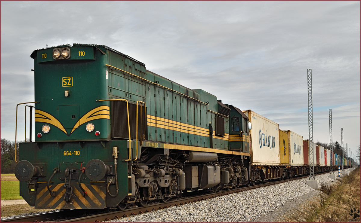 Diesel loc 664-110 pull container train through Cirkovce-Polje on the way Koper port. /4.3.2015