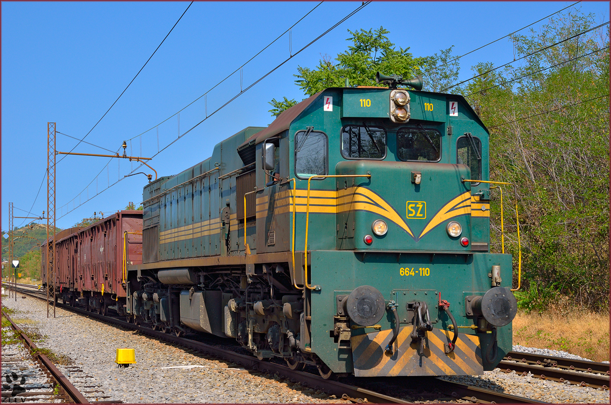 Diesel loc 664-110 pull freight train through Maribor-Tabor on the way to Tezno yard. /21.8.2013