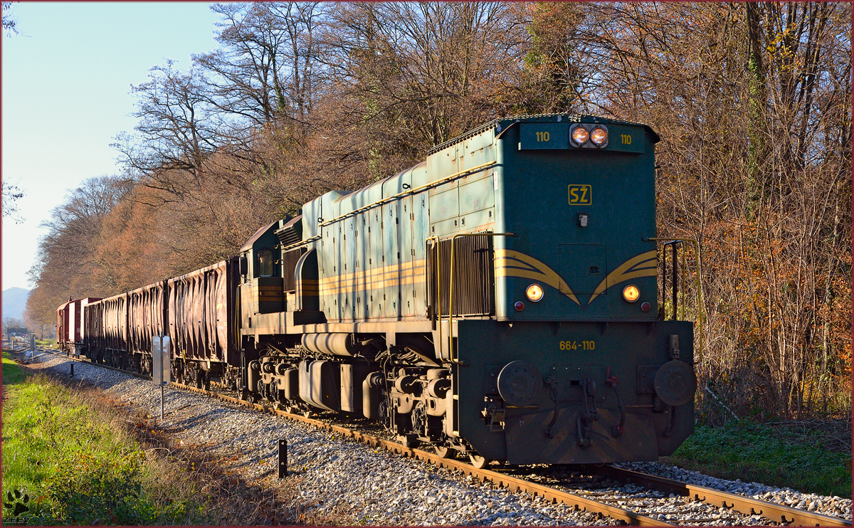 Diesel loc 664-110 pull freight train through Maribor-Studenci on the way to Tezno yard. /2.12.2013