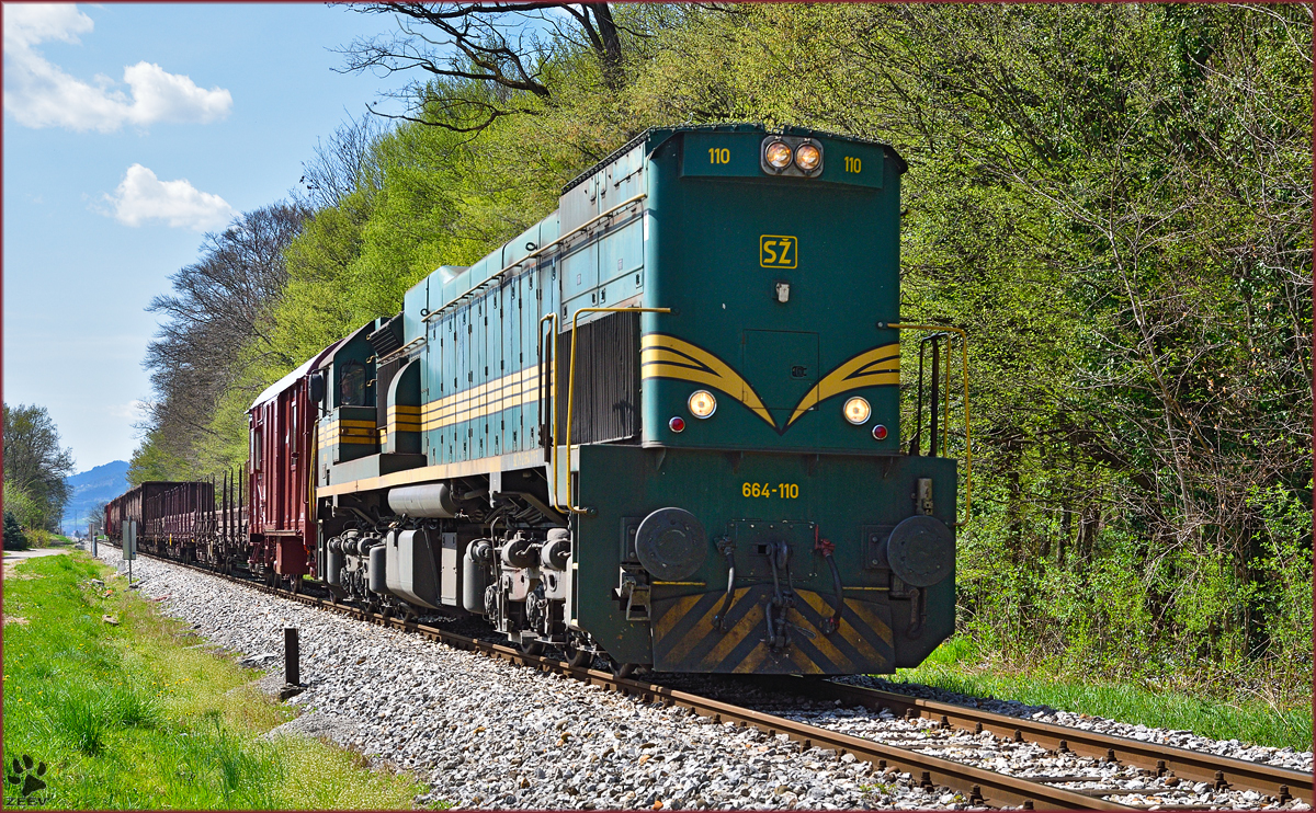 Diesel loc 664-110 pull freight train through Maribor-Studenci on the way to Tezno yard. /13.4.2015