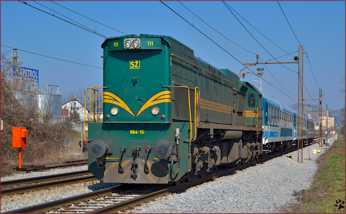 Diesel loc 664-111 is hauling MV247 'Citadella' through Maribor-Tabor on the way to Budapest. /13.3.2014