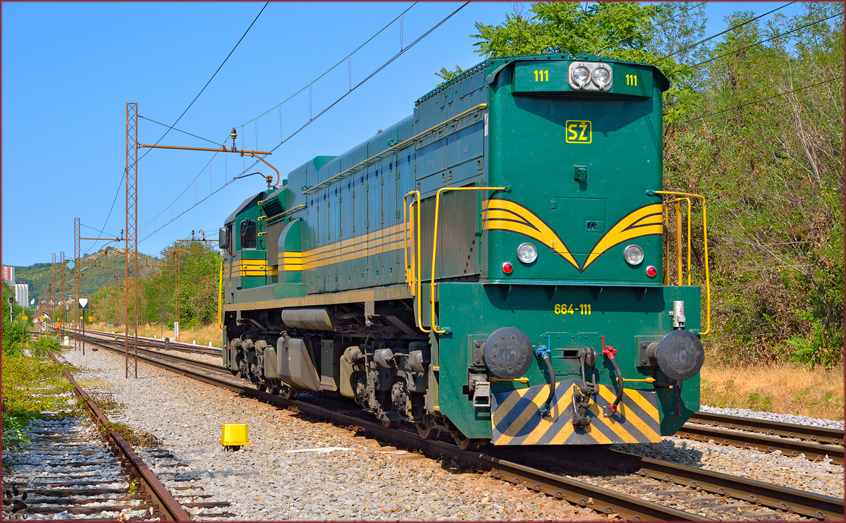Diesel loc 664-111 is running through Maribor-Tabor on the way to Studenci station. /21.8.2013