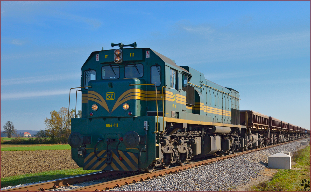 Diesel loc 664-111 pull freight train through Podvinci on the way to Pragersko. /25.10.2013