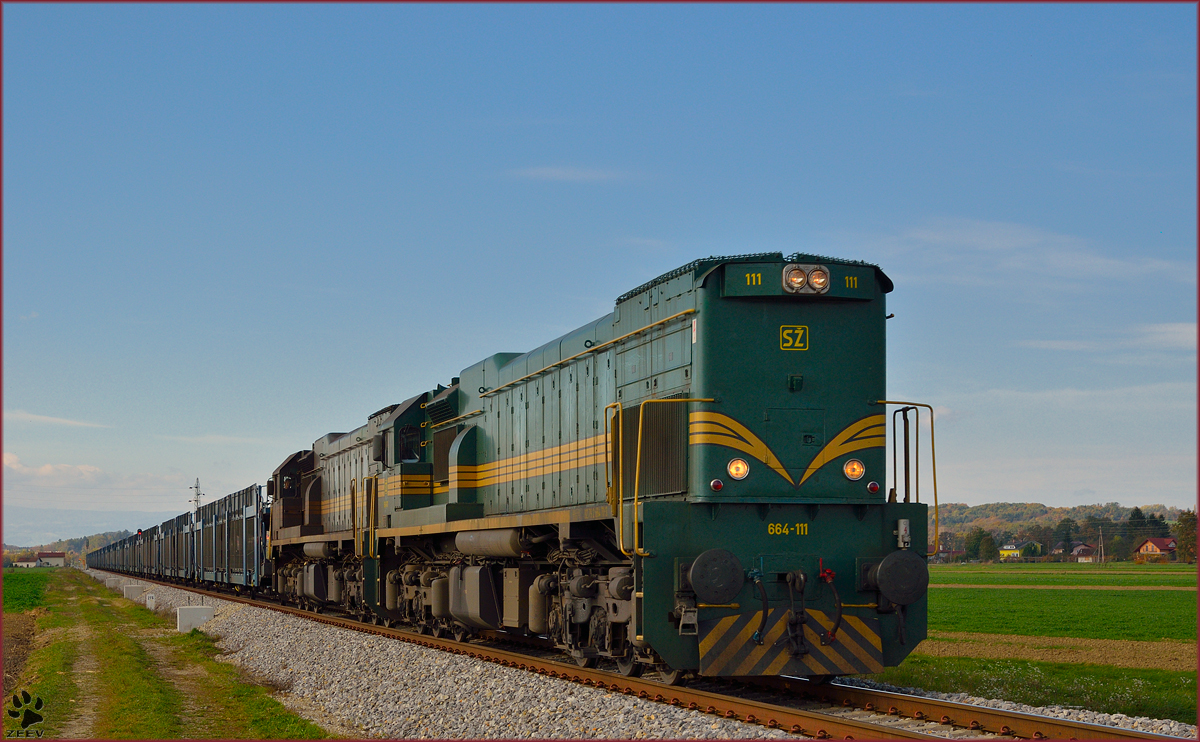 Diesel loc 664-111 pull freight train through Podvinci on the way to Hodo. /25.10.2013