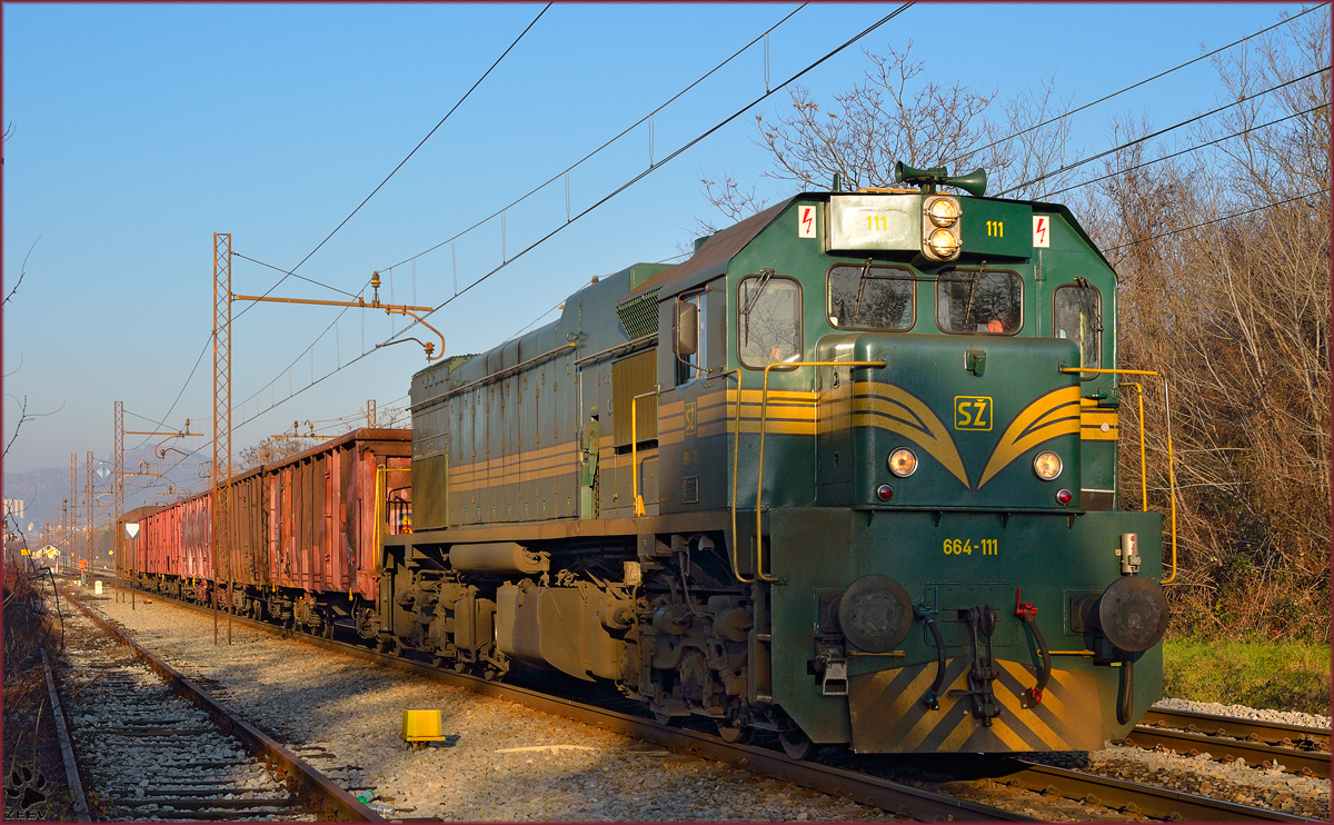 Diesel loc 664-111 pull freight train through Maribor-Tabor on the way to Tezno yard. /16.12.2013