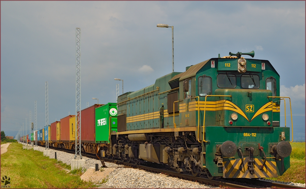 Diesel loc 664-112 pull container train through Cirkovce-Polje on the way to Hodoš. /3.6.2014