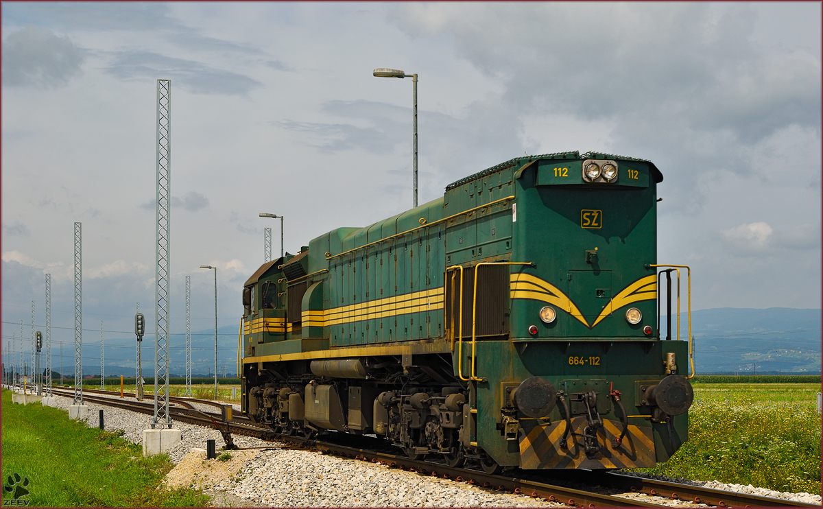 Diesel loc 664-112 run through Cirkovce-Polje on the way to Hodoš. /29.7.2014