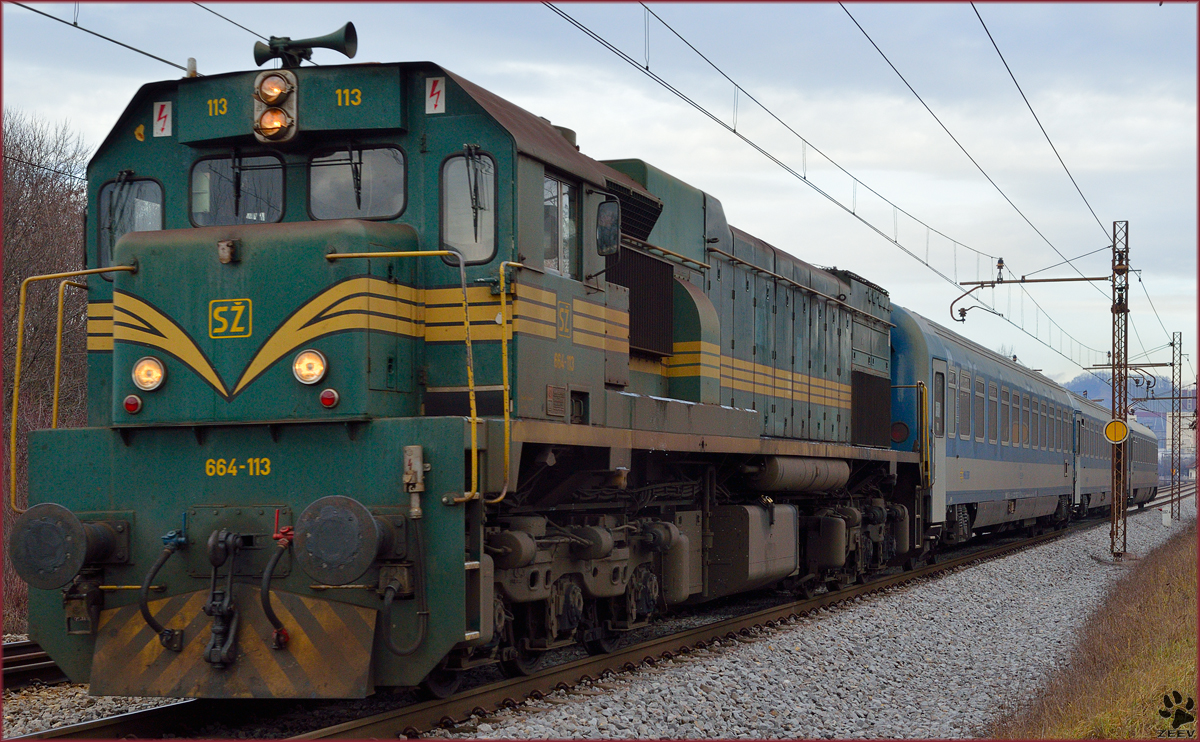 Diesel loc 664-113 is hauling MV247 'Citadella' through Maribor-Tabor on the way to Budapest. /20.1.2014