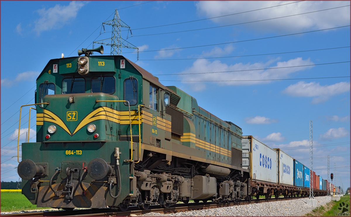 Diesel loc 664-113 pull container train through Cirkovce on the way to Koper port. /11.4.2014