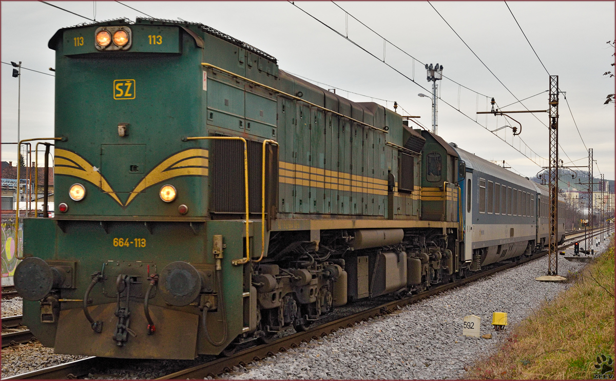 Diesel loc 664-113 pull MV247 'Citadella' through Maribor-Tabor on the way to Budapest. /9.12.2014