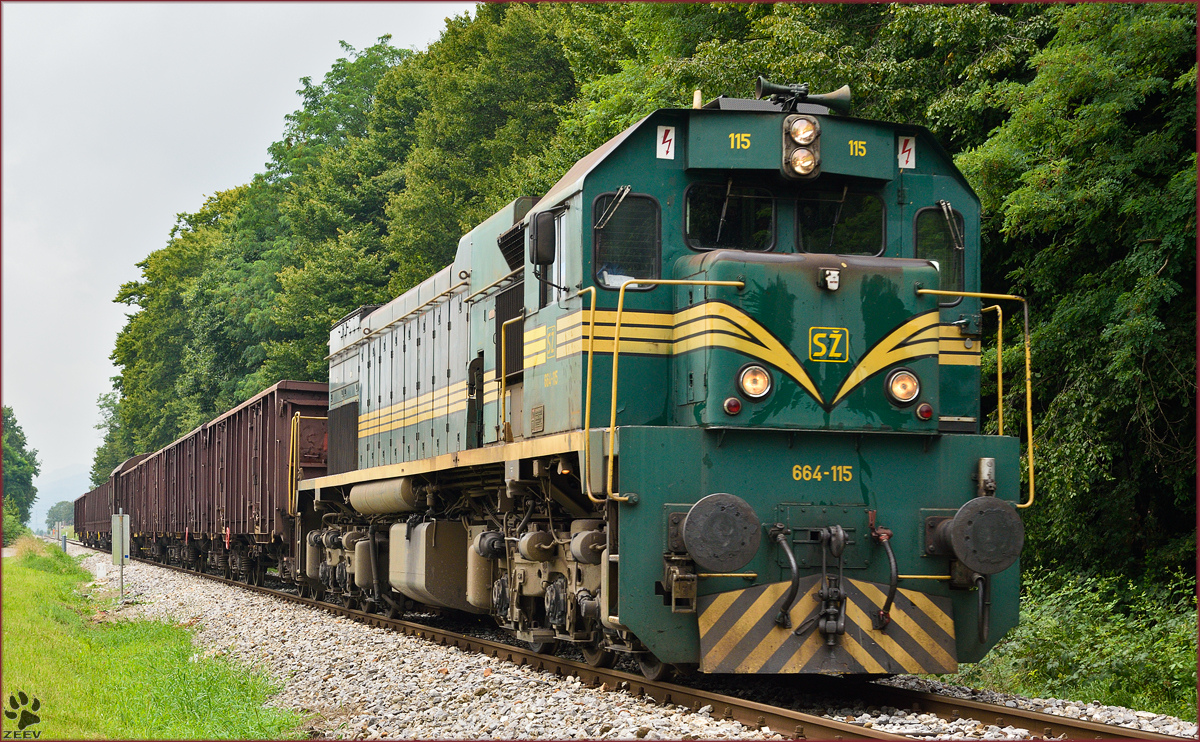 Diesel loc 664-115 pull freight train through Maribor-Studenci on the way to Tezno yard. /28.7.2014