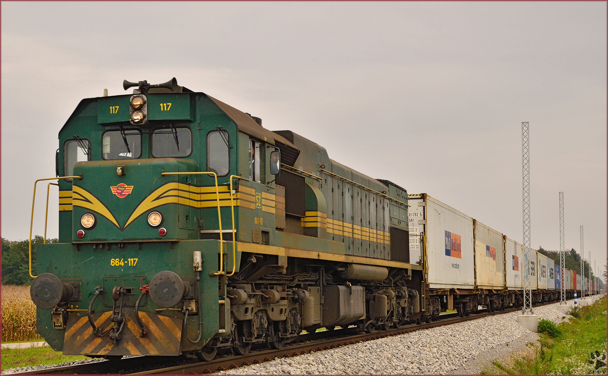 Diesel loc 664-117 pull container train through Cirkovce-Polje on the way to Koper port. /2.10.2014
