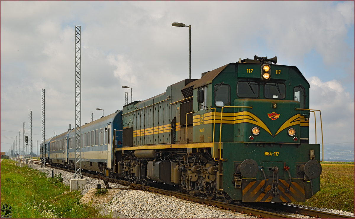 Diesel loc 664-117 pull MV247 'Citadella' through Cirkovce-Polje on the way to Budapest. /17.9.2014