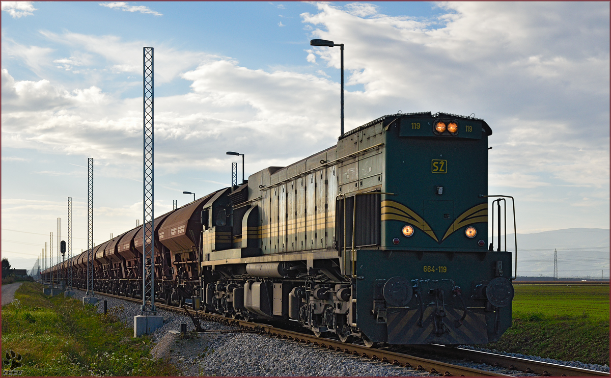 Diesel loc 664-119 pull freight train through Cirkovce-Polje on the way to Hodoš. /10.10.2014