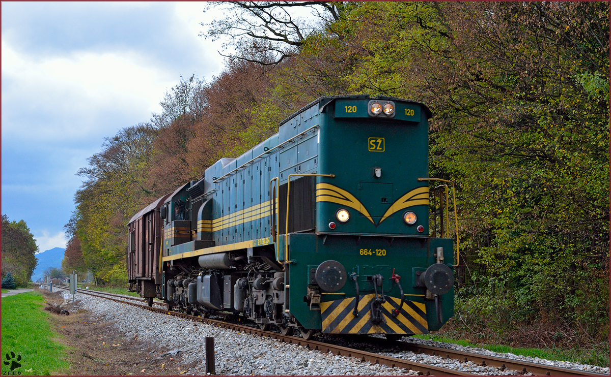 Diesel loc 664-120 pull freight train through Maribor-Studenci on the way to Tezno yard. /4.11.2013