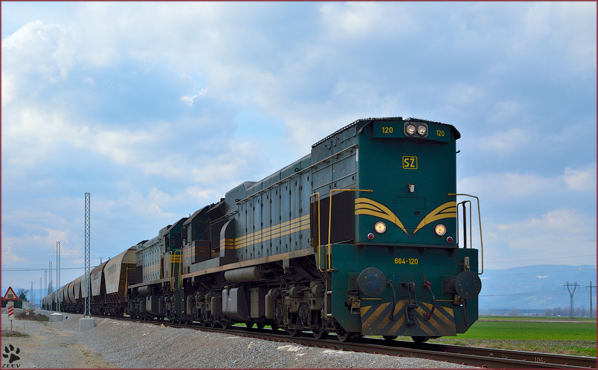 Diesel locs 664-120+664-? are hauling freight train through Cirkovce on the way to Hodoš. /26.2.2014 