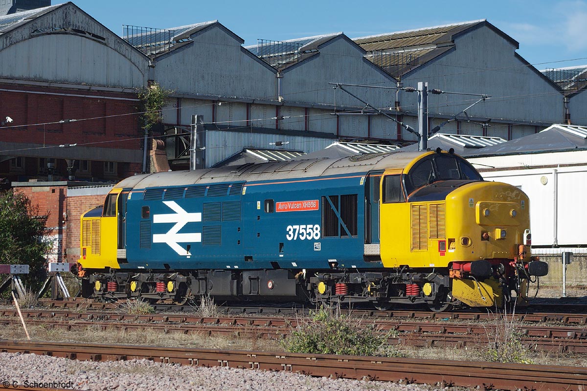 DRS class 37/4 locomotive # 37558 with BR Large Logo 

(original number was D6979, TOPS renumbering to 37279,
renumbered as an electric train heating (ETH) fitted locomotive to 37424)
stabled at Norwich 16th of September 2018