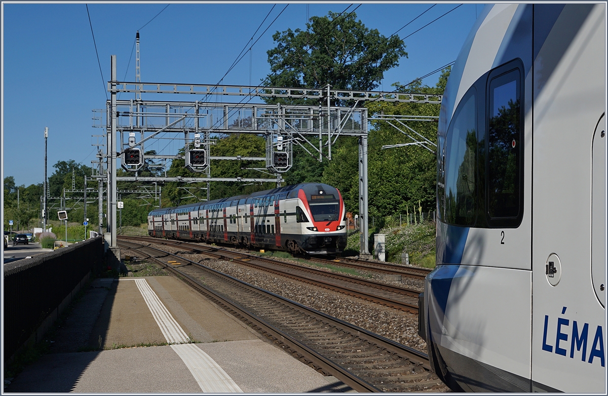 During the  Léman Express  maks a stop in Genthod-Bellevue, an RABe 511 runs to Vevey.

19.06.2018