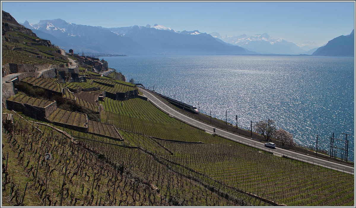 Early spring impressions in the Lavaux Area: A ASBB ETR 610 between St Saphorin and Rivaz. 
06.04.2015