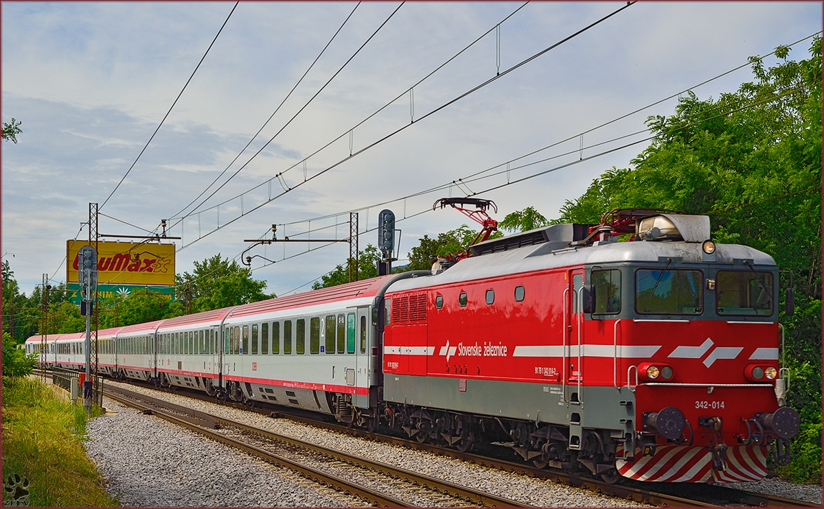 Electric loc 342-014 pull EC158 'Croatia' through Maribor-Tabor on the way to Vienna. /16.6.2014