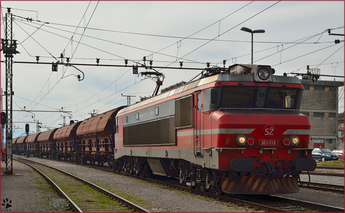 Electric loc 363-018 with freight train is arriving at Pragersko station. /21.02.2014