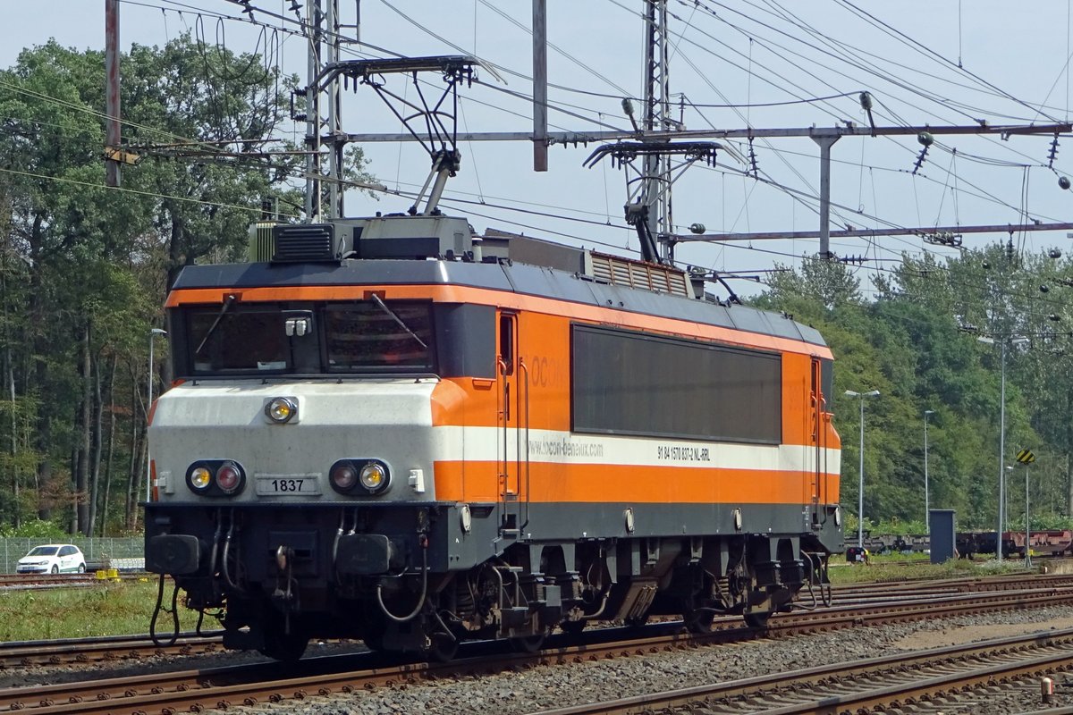 Ex-LOCON 1837 runs round at Bad Bentheim on 5 August 2019.