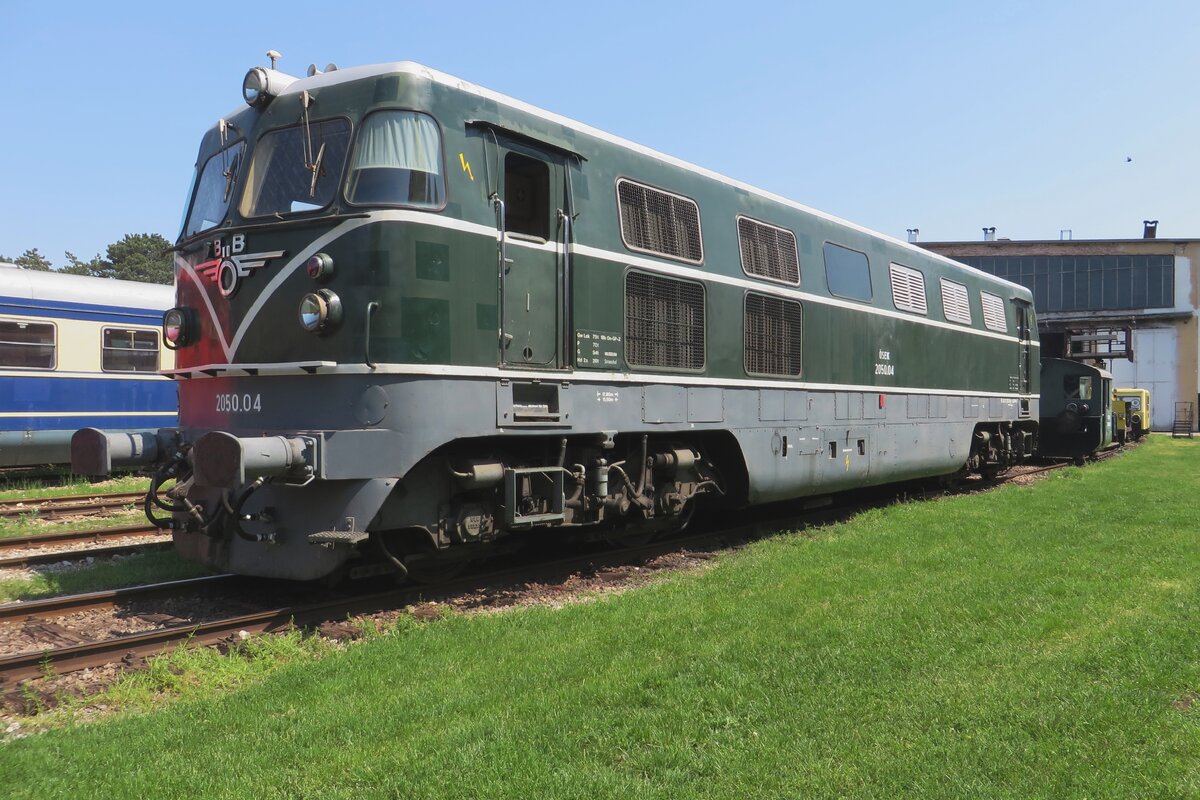 Ex-ÖBB 2050.04 stands in the Heizhaus Strasshof on 21 May 2023 while a bird passes by (right near top of the picture). 