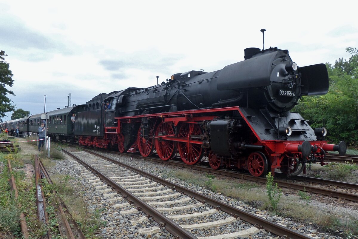 Extra train with 03 2155 stands at Berlin-Schöneweide on 18 September 2016 during the Dampftage of the Berliner Dampftradition.