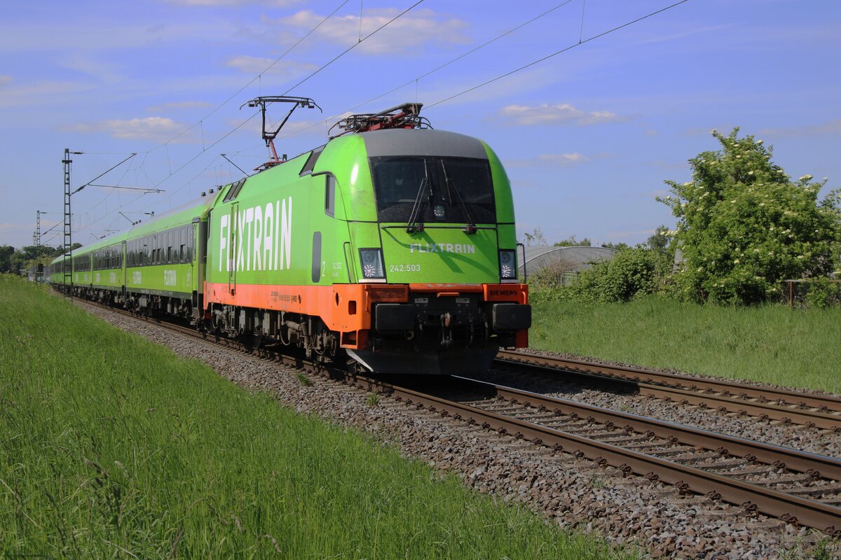 Flixtrain 242.503 hauls a fast train through Kaarst Broicherheide on 8 May 2025.